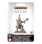 Hedonites Of Slaanesh: Lord Of Pain