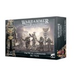 Horus Heresy: Solar Auxilia Tactical Command Section