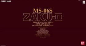 PG 1/60 Ms-06S Zaku?