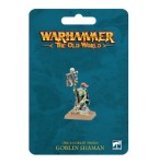 Orc & Goblin Tribes: Goblin Shaman
