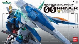 PG 1 60 OO RAISER