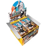 Force of Will: The Battle At the Sacred Ruins ENG Box (36 Boosters)