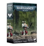 Blood Angels: Sanguinary Priest