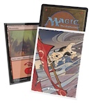 Ultimate Guard Art Sleeves Magic: The Gathering Secrets of Strixhaven - Cyclonic Rift Ultimate Guard Art Sleeves Magic: The Gathering Secrets of Strixhaven - Cyclonic Rift