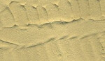 Stone Textures - Desert Sand 200ml 