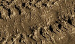 Stone Textures - Brown Earth 200ml 