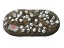 Chaos Skulls, 40mm x 80mm Elite Bike Base, 1 pieces