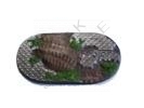 Diamond Plate, 40mm x 80mm Elite Bike Base, 1 pieces