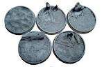 Blasted Wetlands, 40mm Beveled/Round (5)