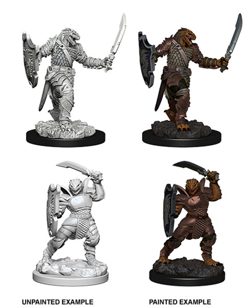 dark sphere dragonborn paladin female d d nmm wave 5