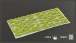 Gamer's Grass: Moss - 2mm Wild