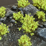 Gamer's Grass: Shrub - Green