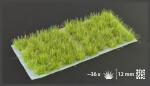 Gamer's Grass: Jungle Tufts - 12mm Wild