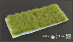 Gamer's Grass: Dry Green Tufts - 12mm Wild