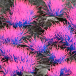 Gamer's Grass: Alien Neon (4mm)